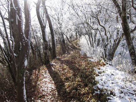 20191129hike (333)